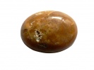 850462 Kaboszon fossil coral , ok.: 16,2x12,3x5,7mm