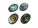 910439 Kaboszon Paua Abalone 14x10mm