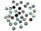 910471 Kaboszon Paua Abalone 10mm